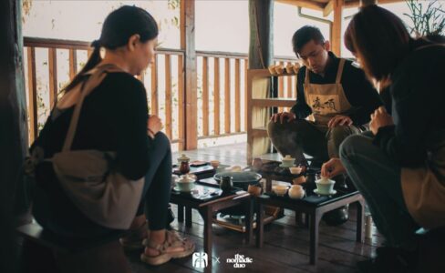 泡茶知識