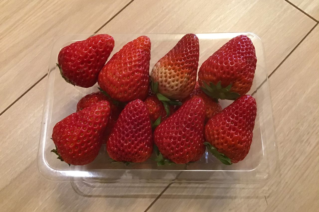 愛知縣 夢之香草莓