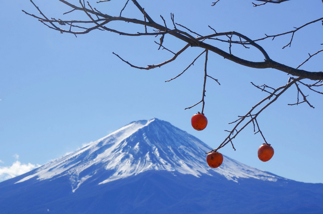 山梨縣富士山