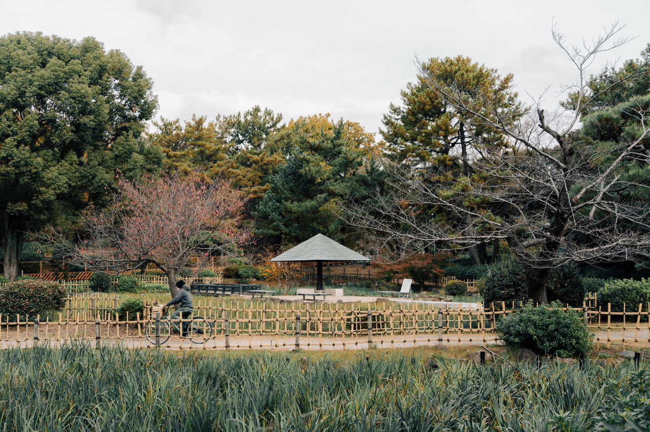 名古屋 賞楓 鶴舞公園