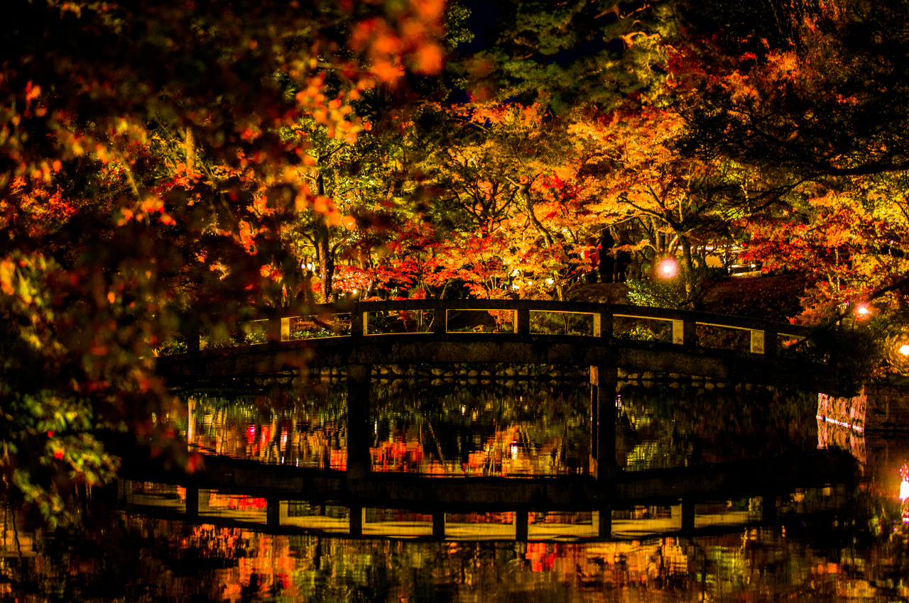 京都 楓葉 永觀堂禪林寺