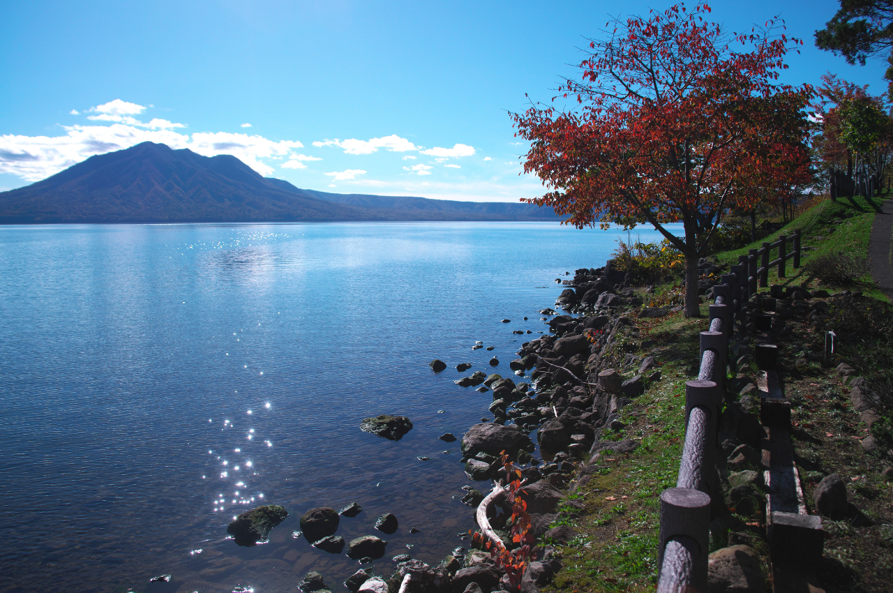 北海道 賞楓 支笏湖