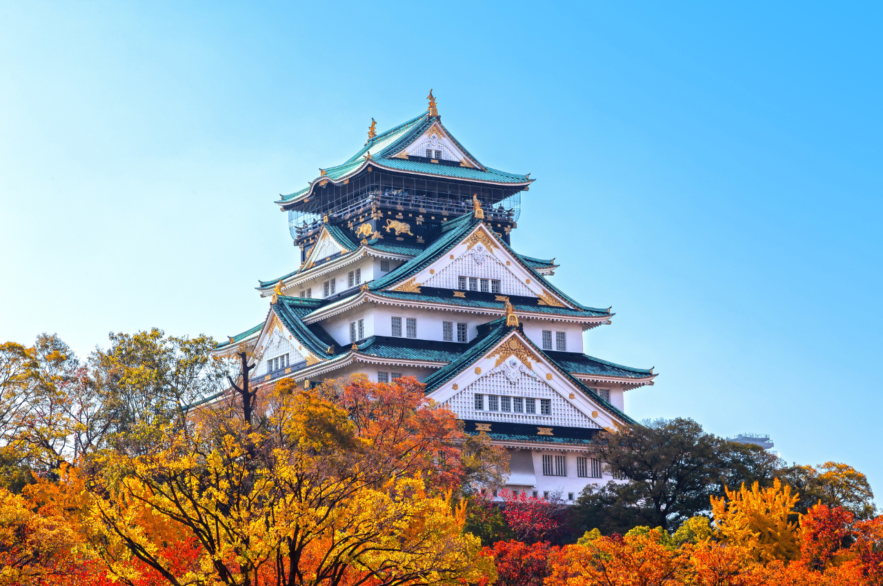 大阪 楓葉 大阪城公園