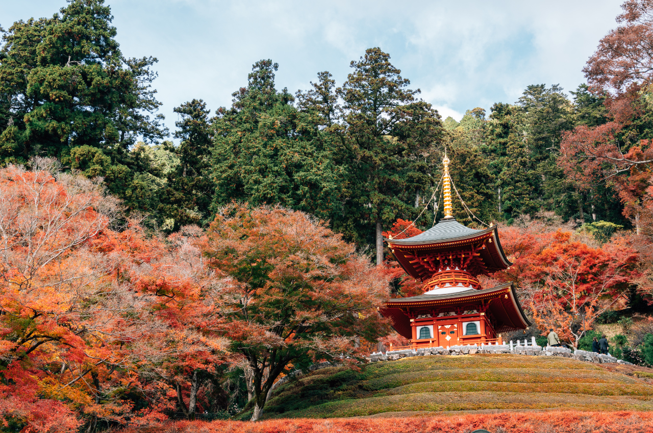 大阪 賞楓 勝尾寺