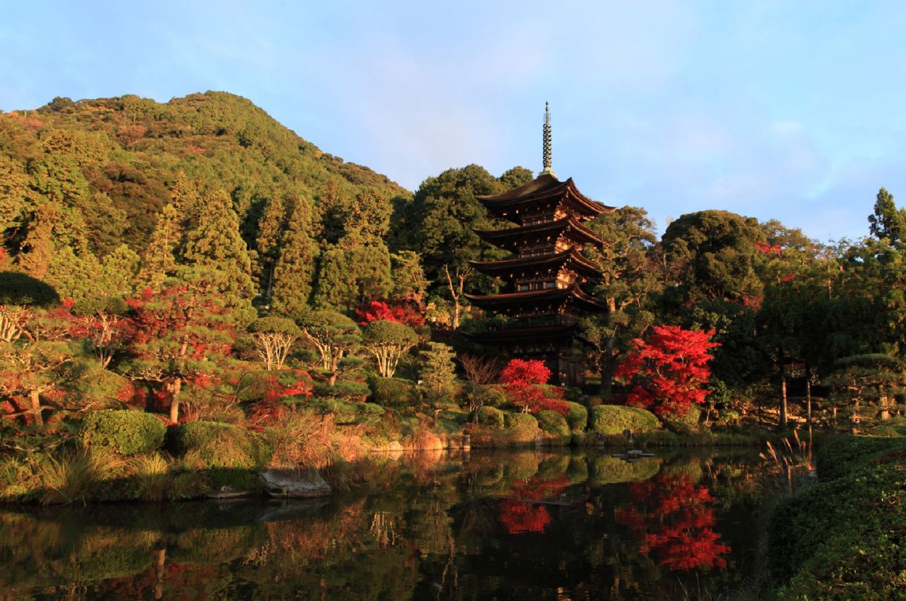 山口 楓葉