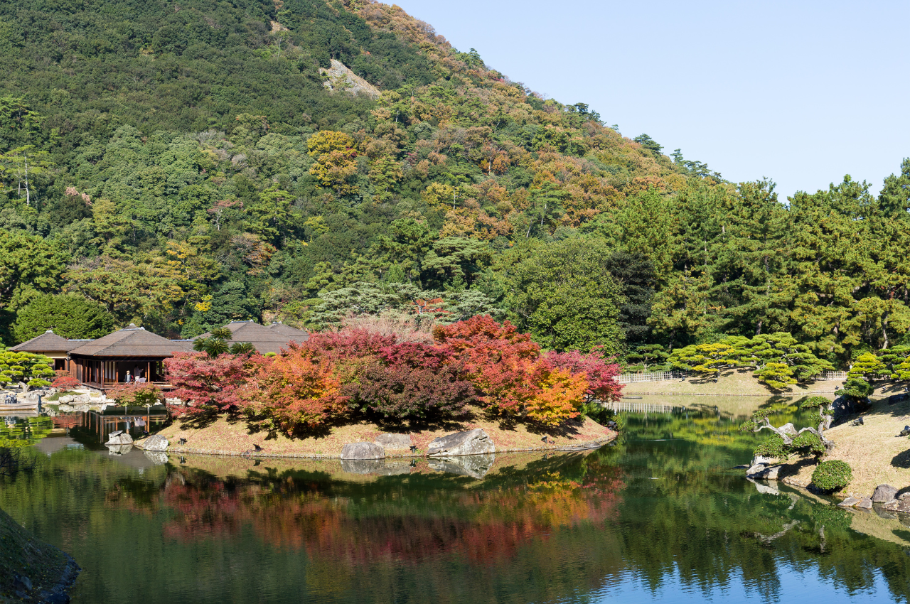 香川 楓葉