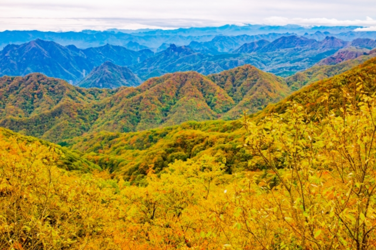 輕井澤 紅葉 舊碓氷峠