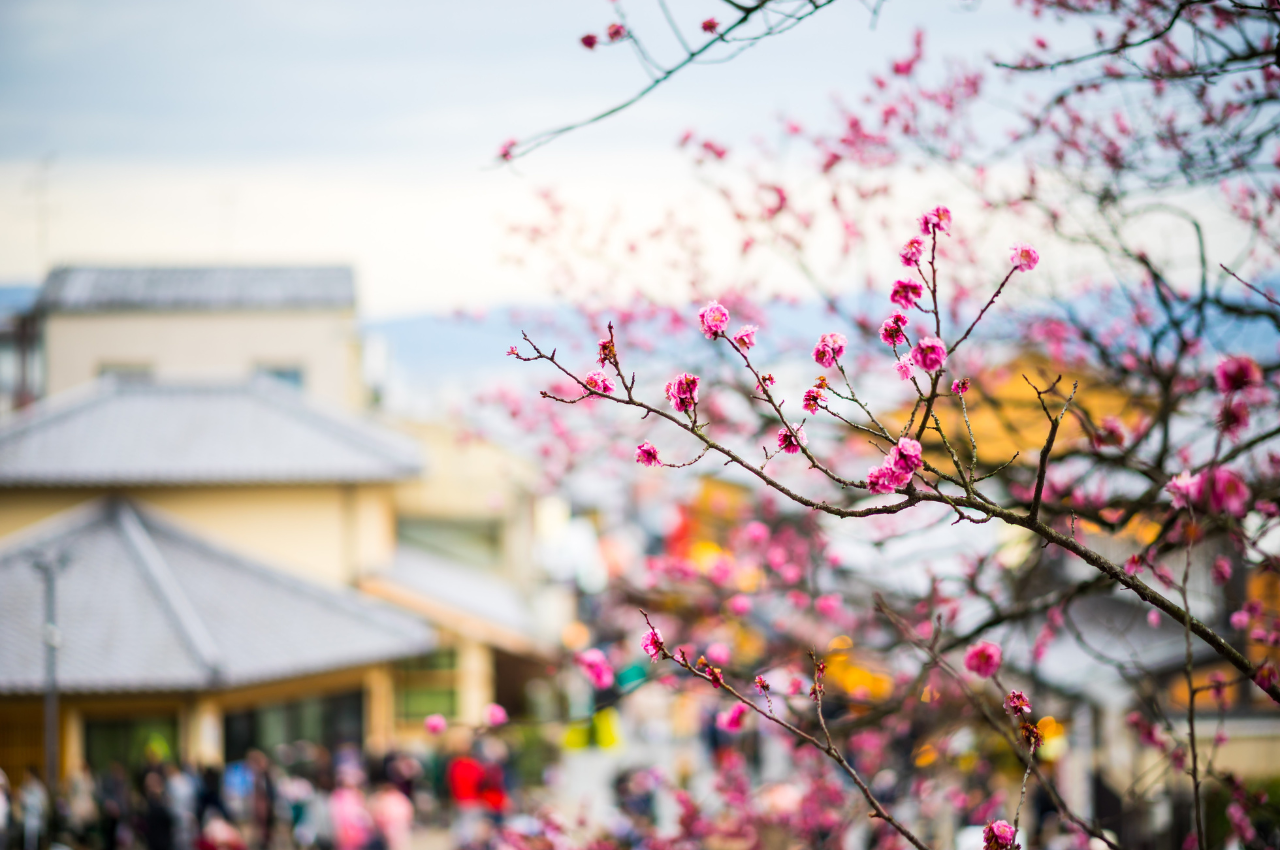 京都景點