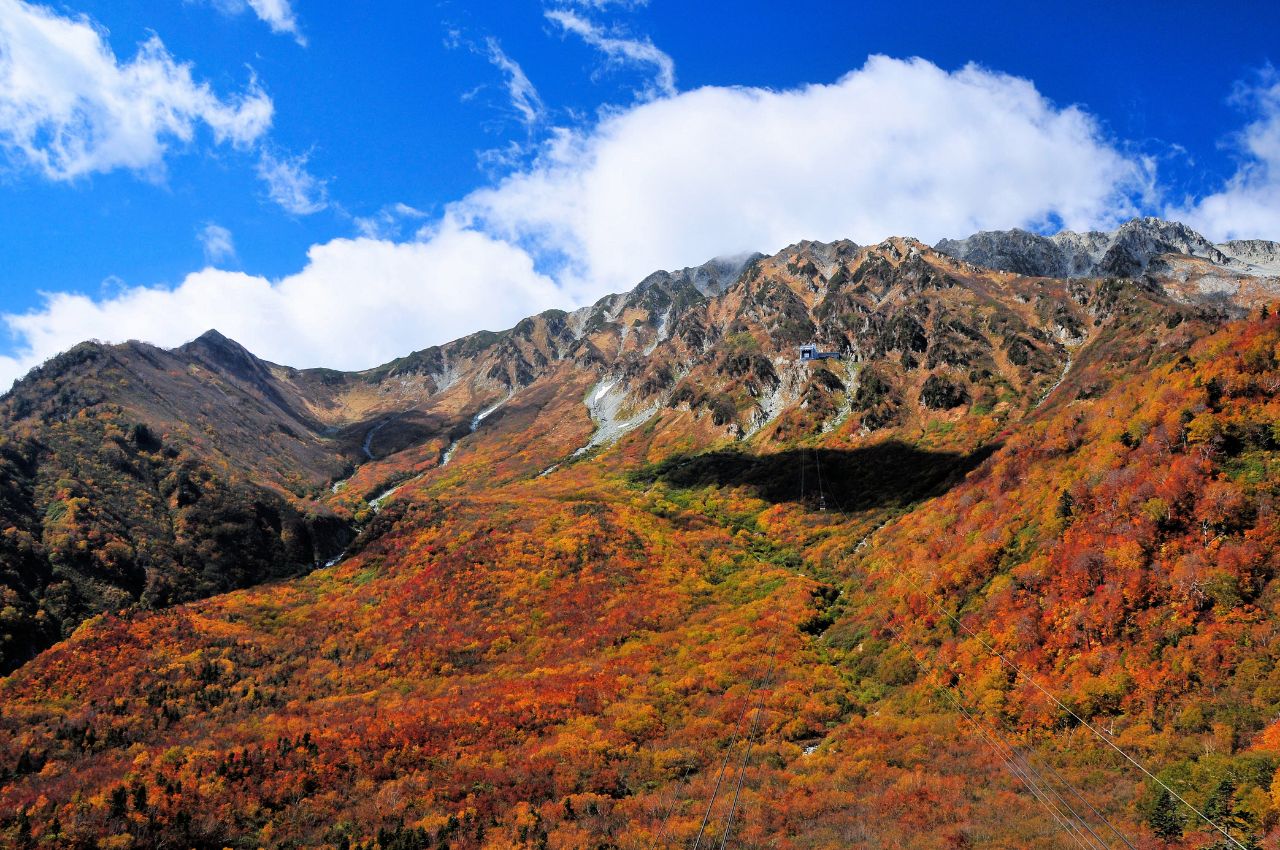 熊本景點