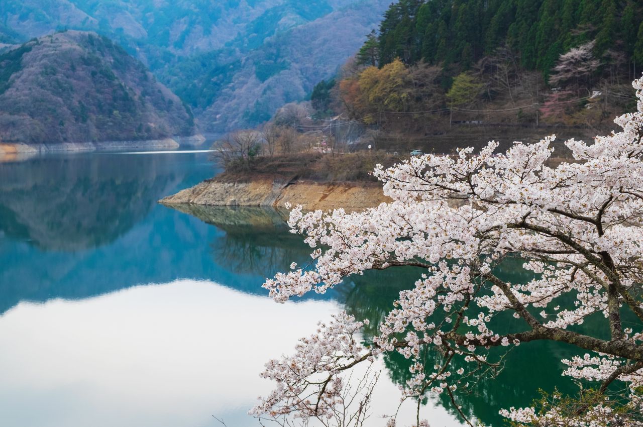 奧多摩湖