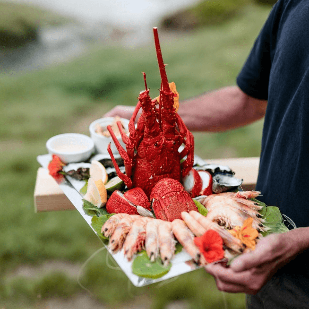 lobster (1)