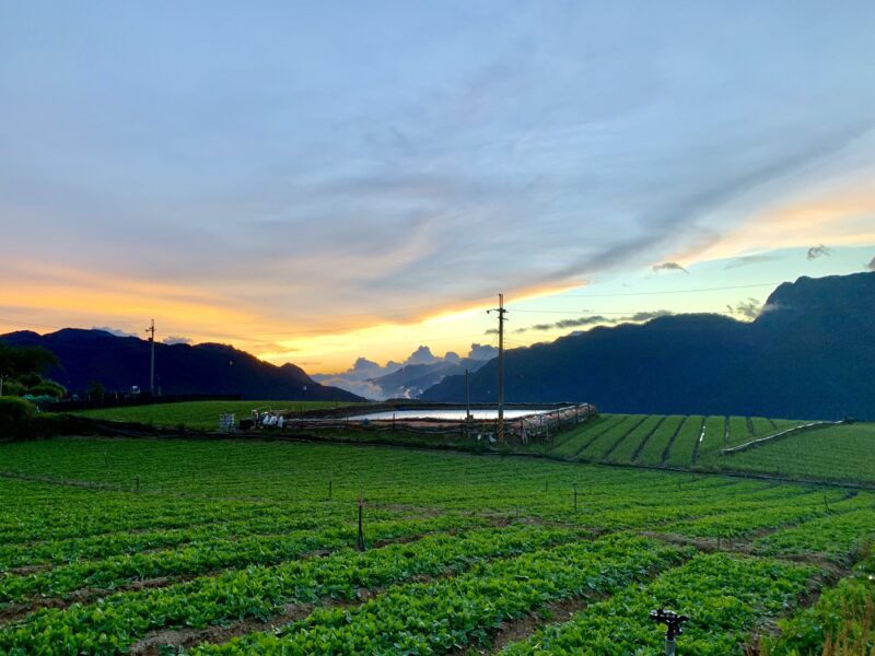 福壽山農場 怎麼玩