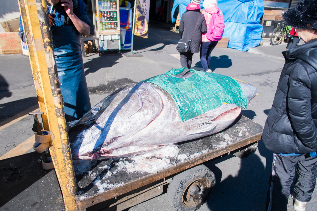 日本　海鮮　市場